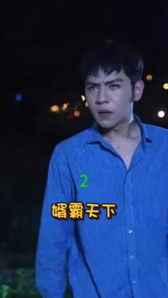 婿霸天下(蓝光)