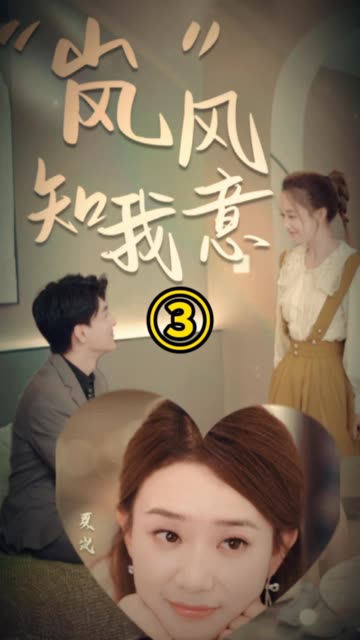 岚风知我意(蓝光)