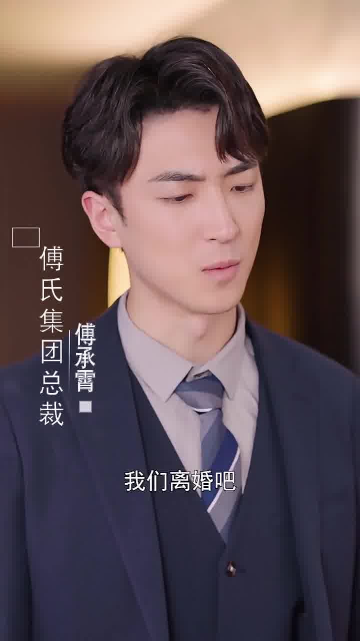 错嫁后夫人拒不复婚(4K)
