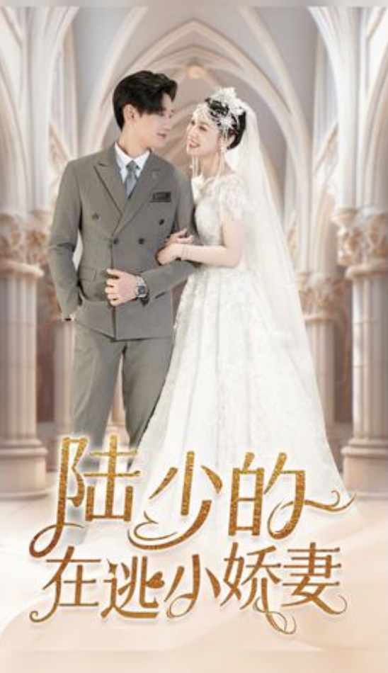陆少追婚之夫人哪里跑（1080）
