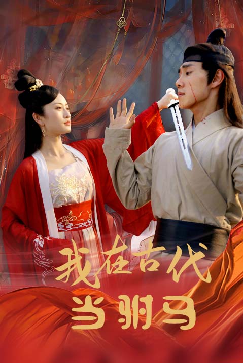 我在古代当驸马长篇版(蓝光)