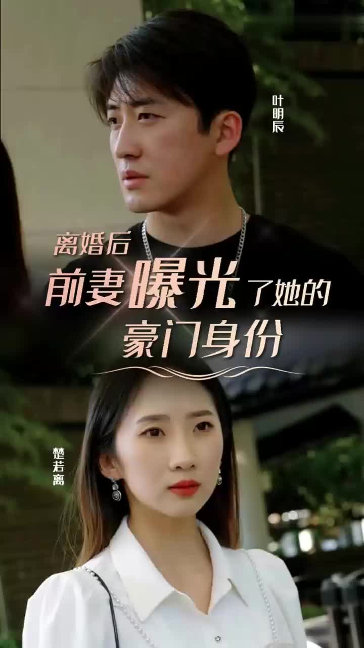 离婚后前妻曝光了她的豪门身份长篇（1080）