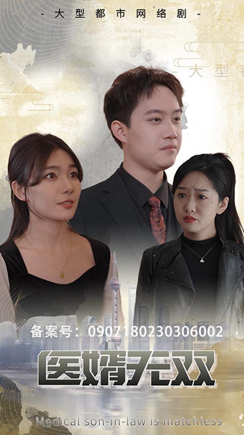 医婿无双长篇(蓝光)