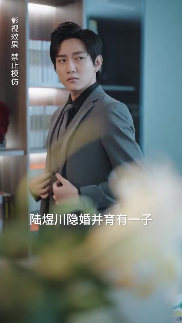 陆少夫人又酷又甜长篇（蓝光）