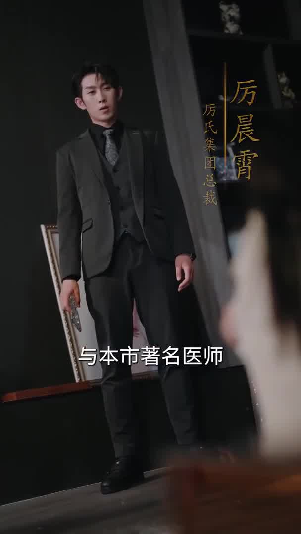 厉总夫人再婚了长篇(4K)