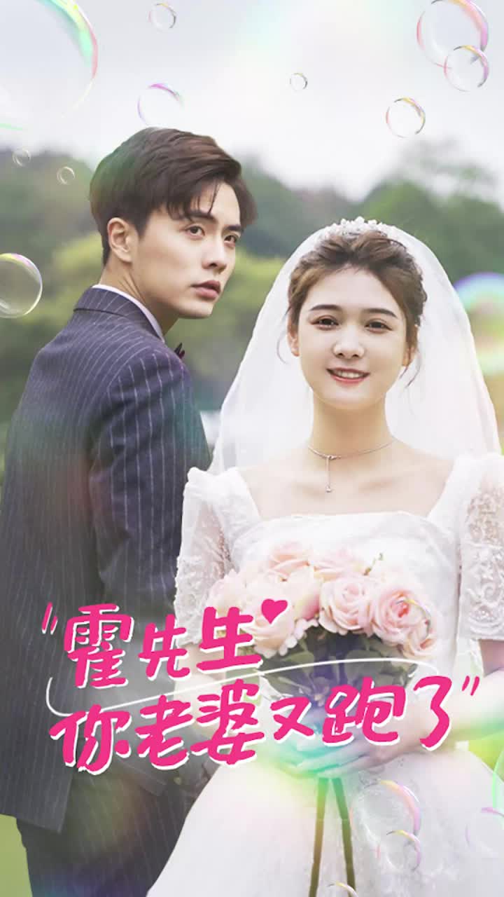 霍先生你老婆又跑了长篇(蓝光)