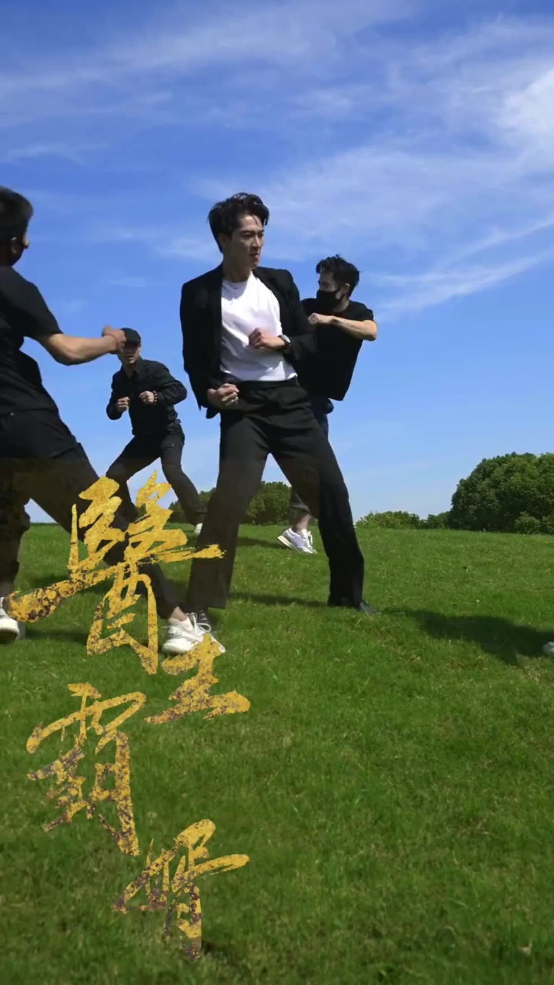 医王霸婿(蓝光)