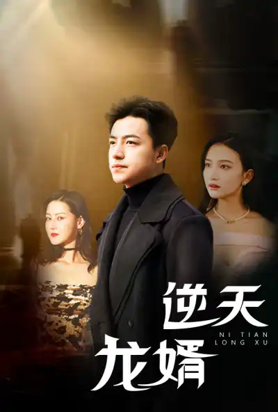 新版逆天龙婿长篇（蓝光）