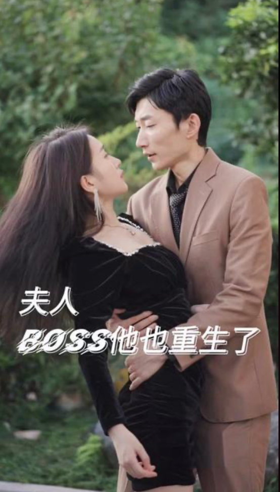 夫人boss他也重生了长篇(蓝光)