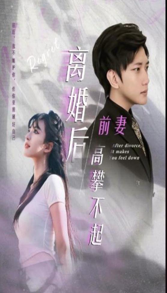 离婚后前妻高攀不起长篇(4K)