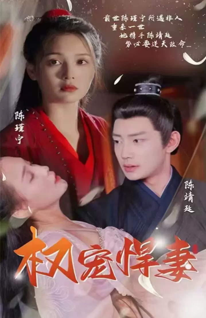 权宠悍妻长篇(蓝光)
