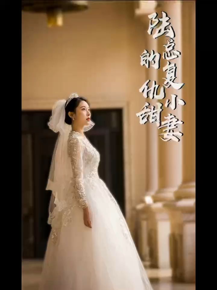 陆总的复仇小甜妻(1080)