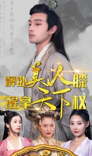 醉卧美人膝醒掌天下权长篇（蓝光）