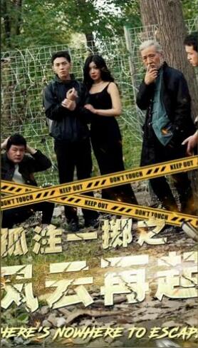 孤注一掷之风云再起孤注一掷之卧龙(1080)