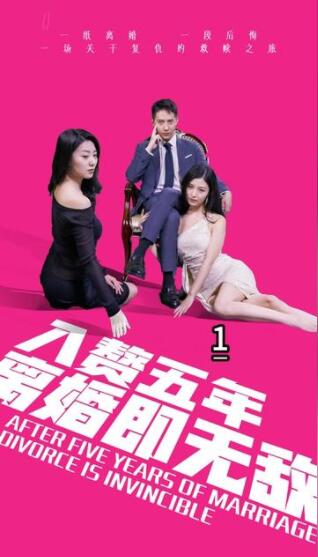 入赘五年离婚既无敌（1080）