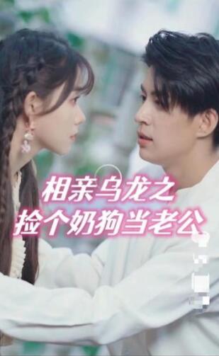 相亲乌龙之捡个奶狗当老公（蓝光）