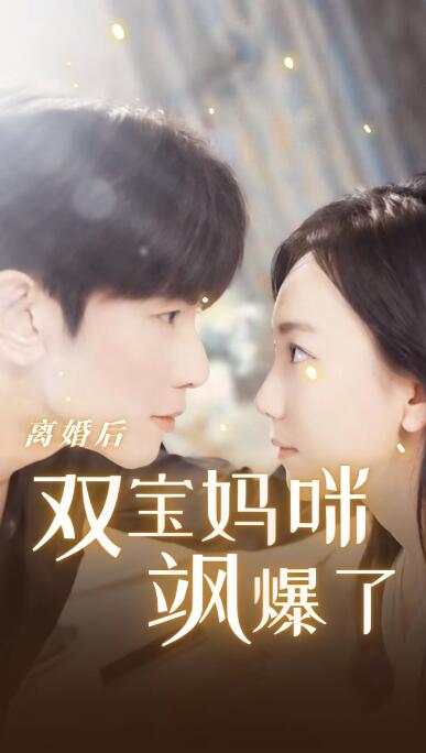 离婚后双宝妈咪飒爆了（蓝光）