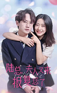 陆总夫人又来报复您了（4K）
