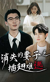 消失的妻子之插翅难逃(蓝光)
