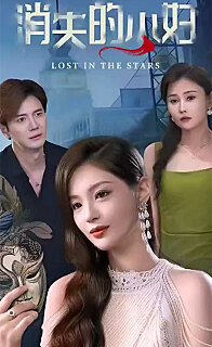 消失的主妇（1080）