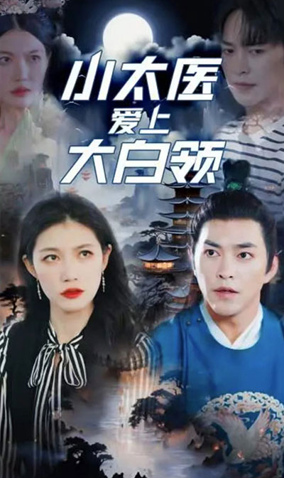 小太医爱上大白领长篇（蓝光）