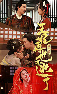 重生后王妃再也不逃了(1080)