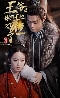 王爷你的王妃又跑了王妃一身反骨就给王爷添堵(1080)