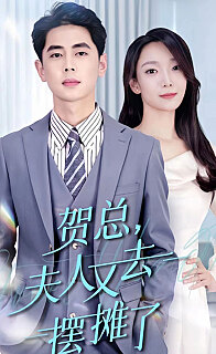 贺总夫人又去摆摊了(蓝光)