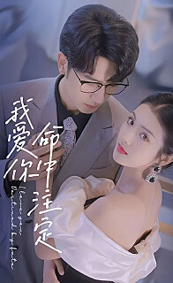 我爱你命中注定（1080）