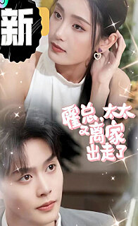 霍总太太又离家出走了(蓝光)