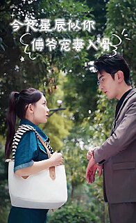 今夜星辰似你傅爷宠妻入骨（蓝光）