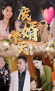 废婿擎天(蓝光)