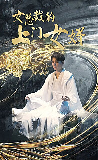 女总裁的上门女婿(蓝光)