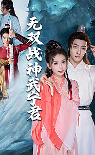 无双战神武宁君(1080)