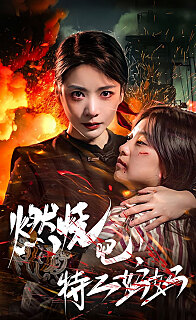 燃烧吧特工妈妈(1080)