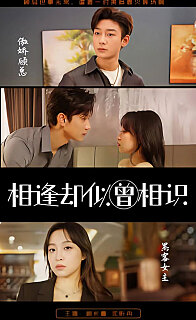 相逢却似曾相识离婚后顾太太的马甲藏不住了（1080）