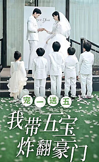 宠一送五我带五宝炸翻豪门（1080）