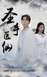 圣手医仙（1080）