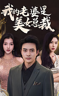 新我的老婆是美女总裁(蓝光)