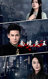 南境炎王(蓝光)
