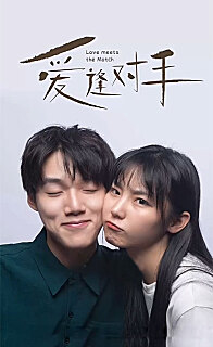 替嫁娇妻2爱逢对手(蓝光)