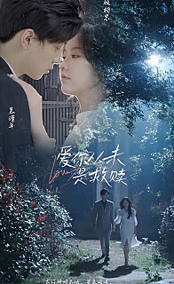 爱你从未是救赎(1080)