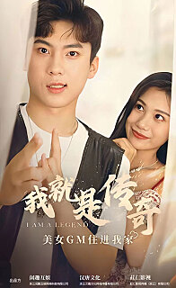 我就是传奇（1080）