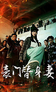 豪门替身妻(蓝光)