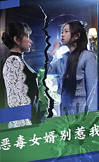 恶毒女婿别惹我(蓝光)