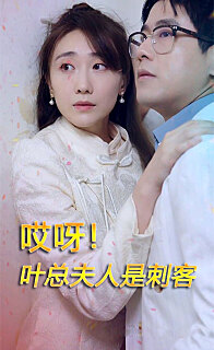 哎呀叶总夫人是刺客(蓝光)