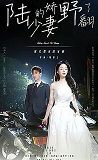 陆少的娇妻野翻了(4K)