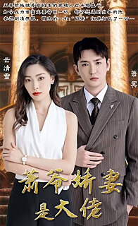萧爷娇妻是大佬（1080）