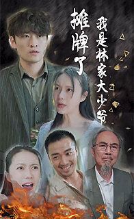 摊牌了我是林家大少爷新医仙神婿(蓝光)