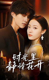 时光里静待花开（蓝光）